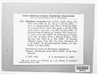 Image Associated With the Occurence